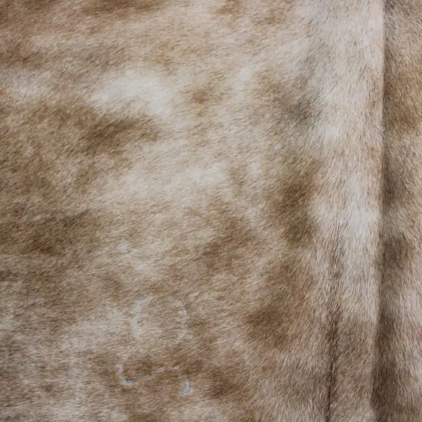 Cowhide Rug Exotic C00965