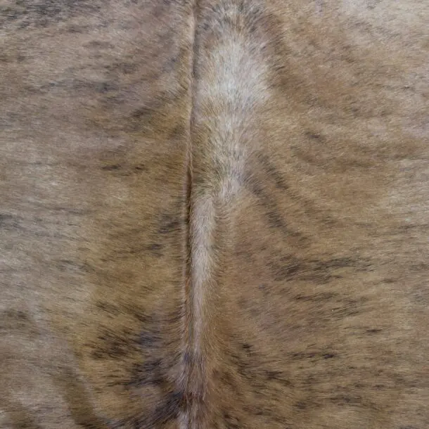 Cowhide Rug Exotic C00966