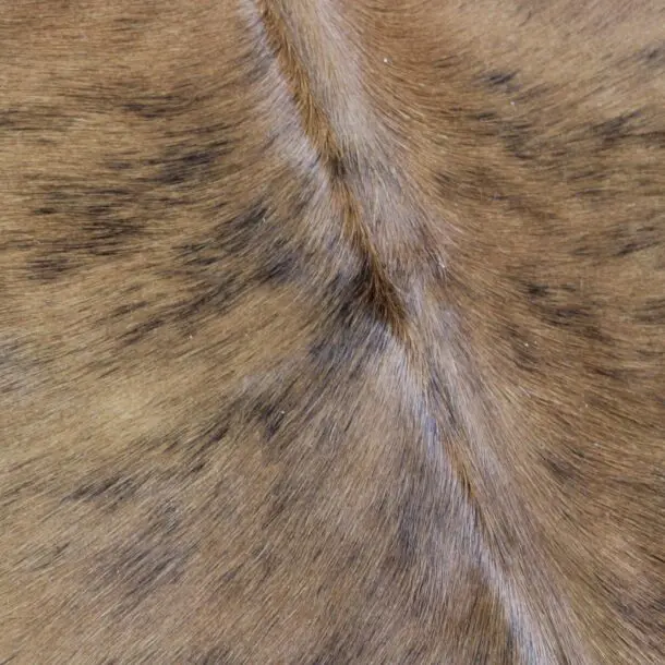 Cowhide Rug Exotic C00966