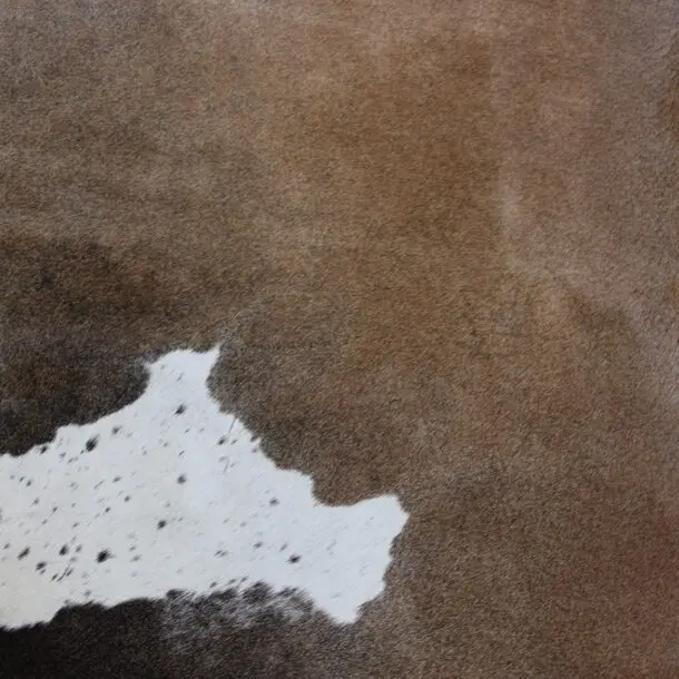 Cowhide Rug Exotic C00971