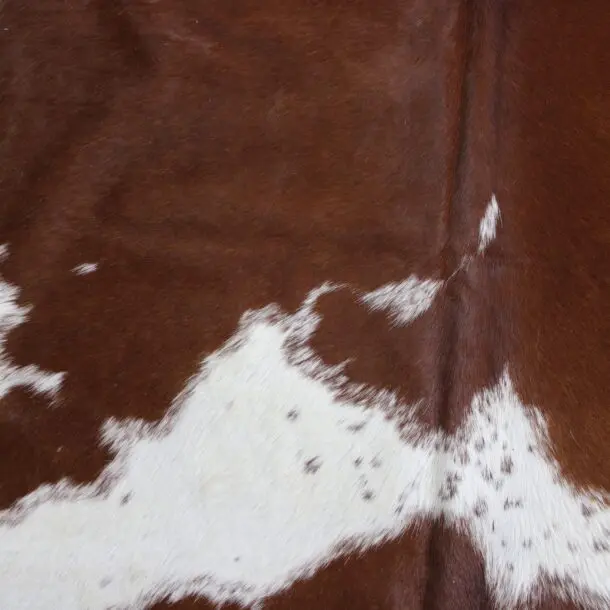 Cowhide Rug Brown and White C00972