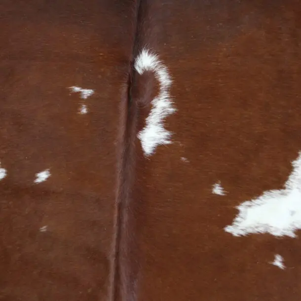 Cowhide Rug Brown and White C00972