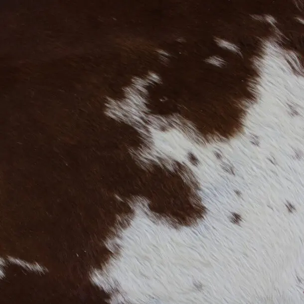 Cowhide Rug Brown and White C00972