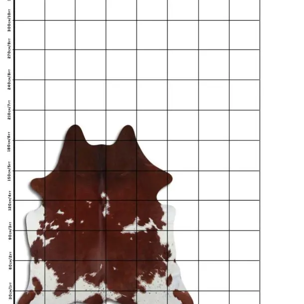 Cowhide Rug Brown and White C00972