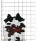 Cowhide Rug C00974 a (1) Natural cowhide rug with black, chestnut brown and white markings, displayed on a measurement grid.