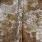 Close-up of a brown and white mottled cowhide rug showing natural hair texture and colour patterns.