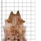 Natural brown and white speckled cowhide rug with an irregular shape, displayed .