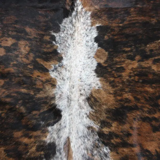 Cowhide Rug Exotic C00977