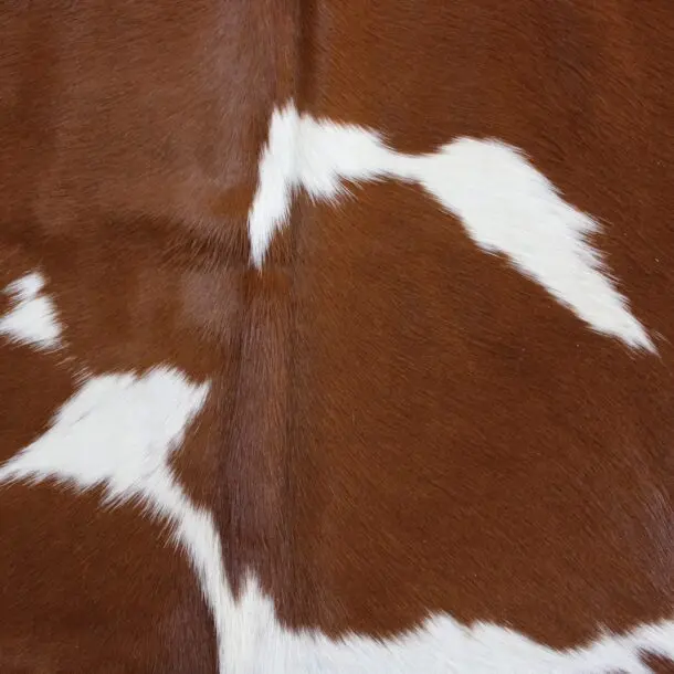 Cowhide Rug Brown and White C00979