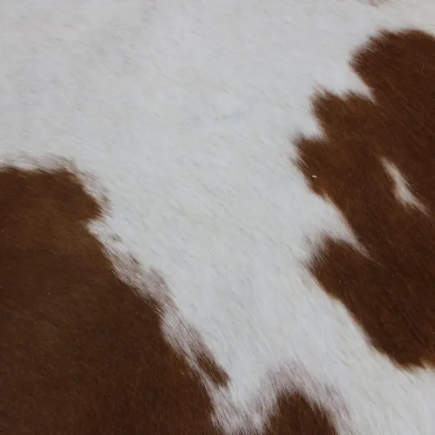 Cowhide Rug Brown and White C00980