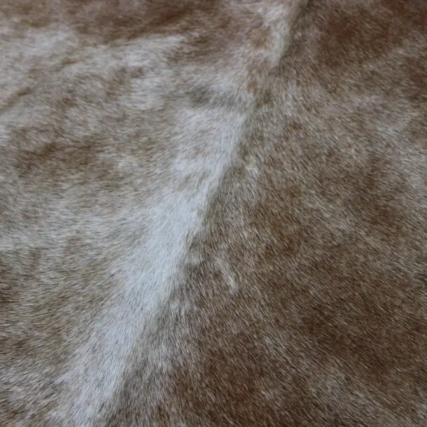 Cowhide Rug Exotic Beige C00981