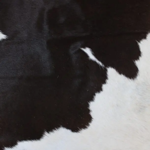 Cowhide Rug Black and White C00982