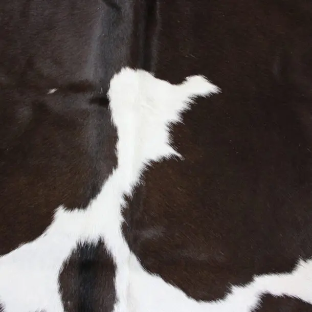 Cowhide Rug Black and White C00982