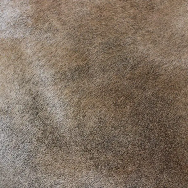 Cowhide Rug Tan Grey C00984