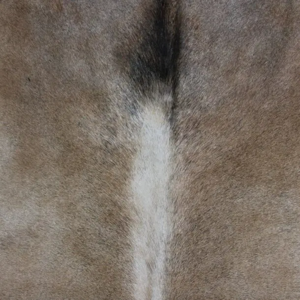 Cowhide Rug Tan Grey C00984