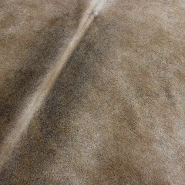 Cowhide Rug Tan Grey C00984