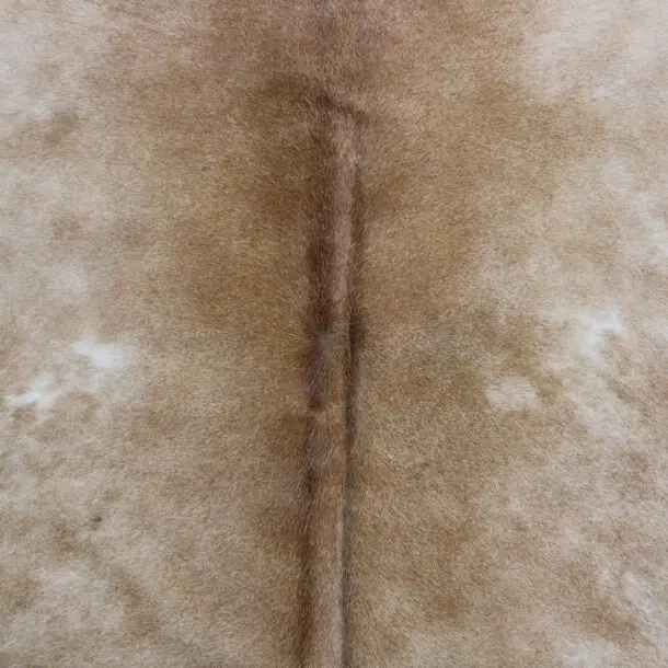 Cowhide Rug Caramel C00985