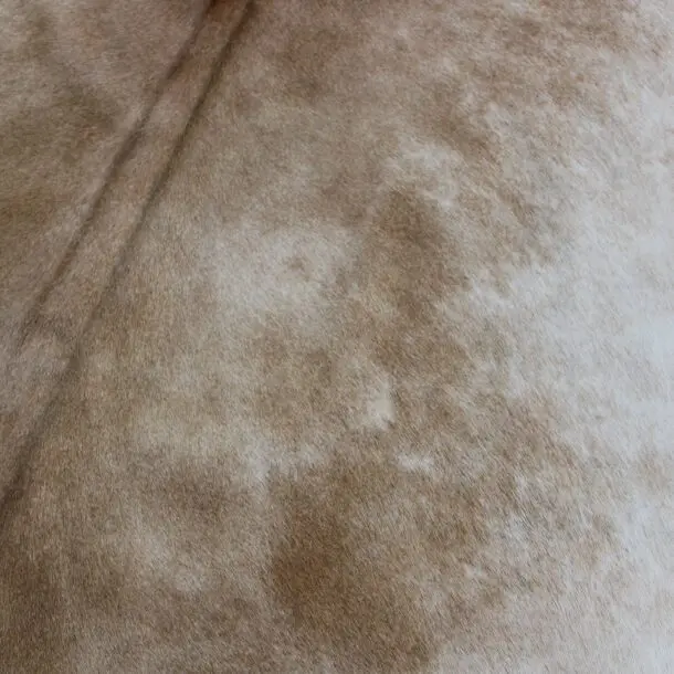 Cowhide Rug Caramel C00985