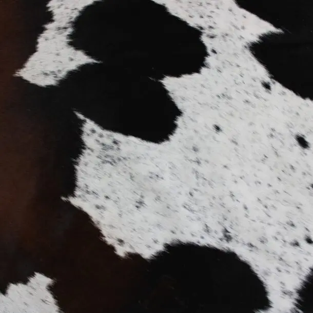 Cowhide Rug Exotic C00986