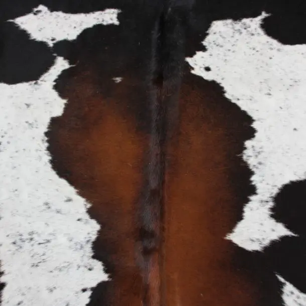 Cowhide Rug Exotic C00986