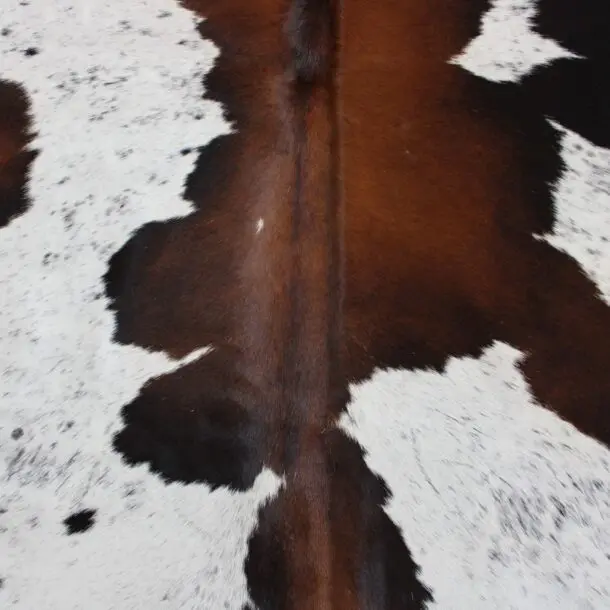 Cowhide Rug Exotic C00986