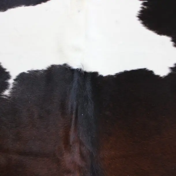 Cowhide Rug Exotic C00989