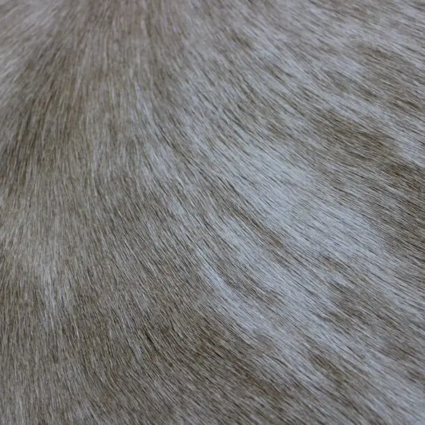 Cowhide Rug Exotic Beige C00990