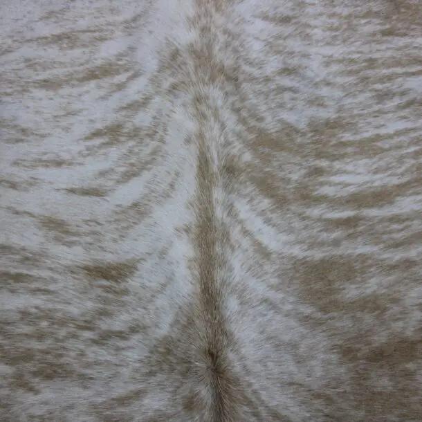 Cowhide Rug Exotic Beige C00990