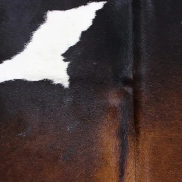 Cowhide Rug Exotic C00991