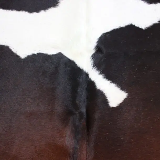 Cowhide Rug Exotic C00992