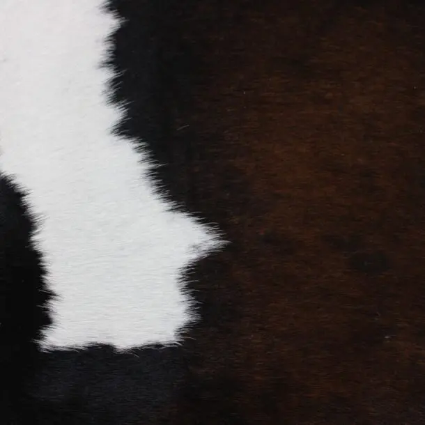 Cowhide Rug Exotic C00993