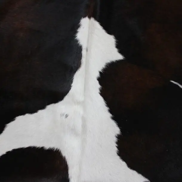 Cowhide Rug Exotic C00993