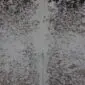 Close-up of a grey and white speckled cowhide rug showing natural hair texture and salt and pepper markings.