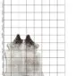 Natural cowhide rug with white and grey speckled patterns and dark brown patches at the top. detail view