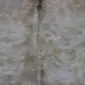 Close-up of a beige and grey exotic cowhide rug showing natural hair texture and speckled patterns. detail view