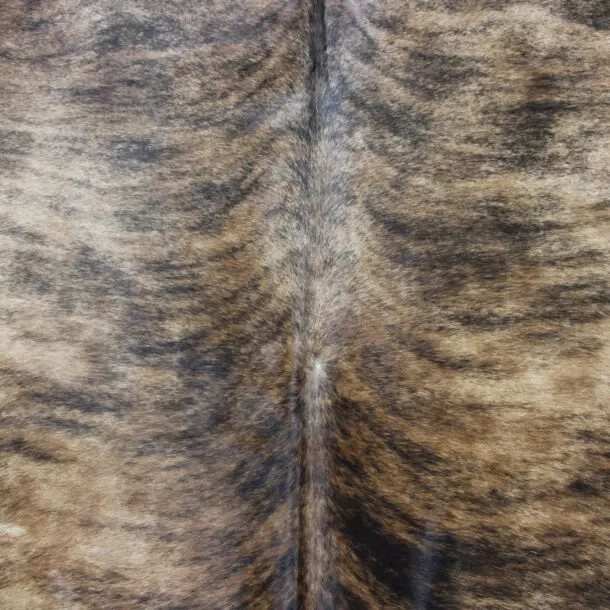 Cowhide Rug Exotic C00996