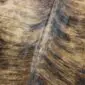 Close-up of a brindle cowhide rug featuring a mix of brown, tan, and black textured hair.
