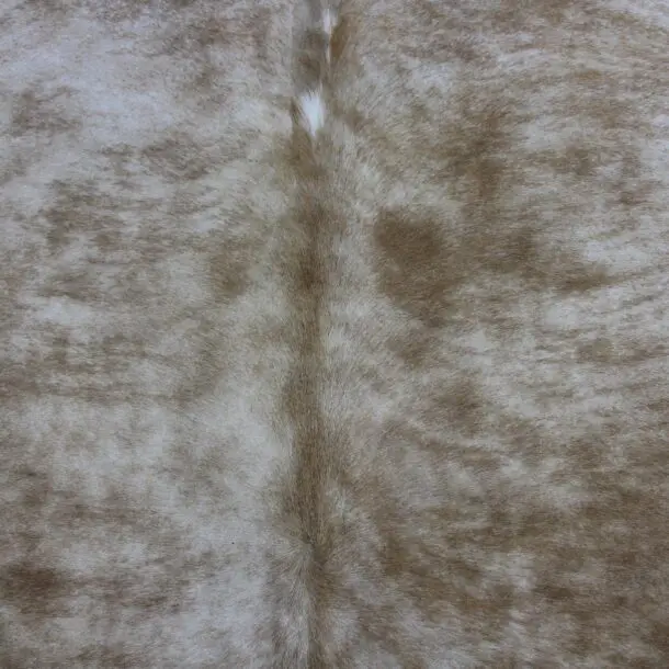 Cowhide Rug Exotic C00998