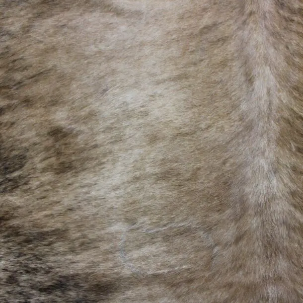 Cowhide Rug Exotic Beige C00999