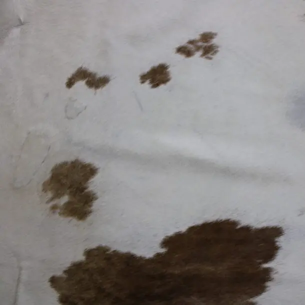 Cowhide Rug Brown and White C01000