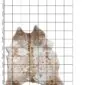 Natural cowhide rug with exotic beige, brown, and white speckled patterns on a measured grid background.