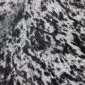 Cowhide Rug C01002 (1) Close up of a speckled cowhide rug with black and white natural markings.