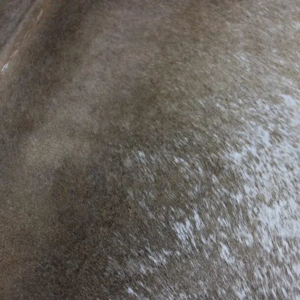 Cowhide Rug Speckled C01003