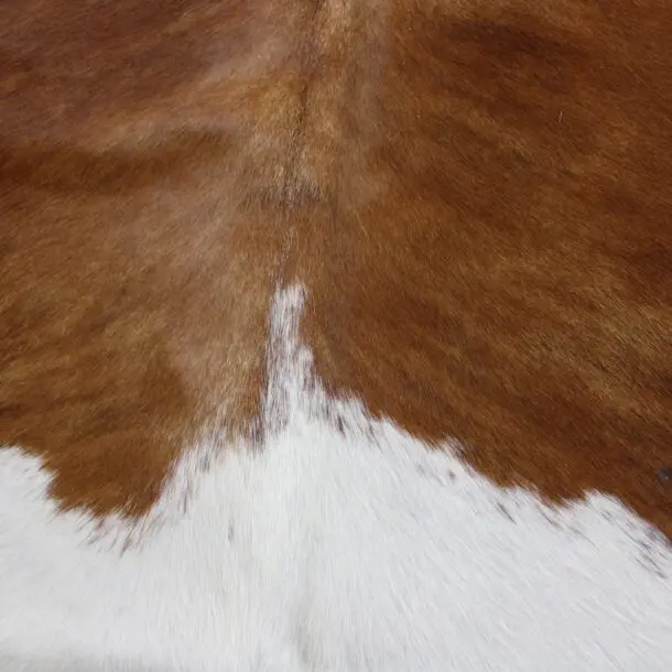 Cowhide Rug Brown and White C01004