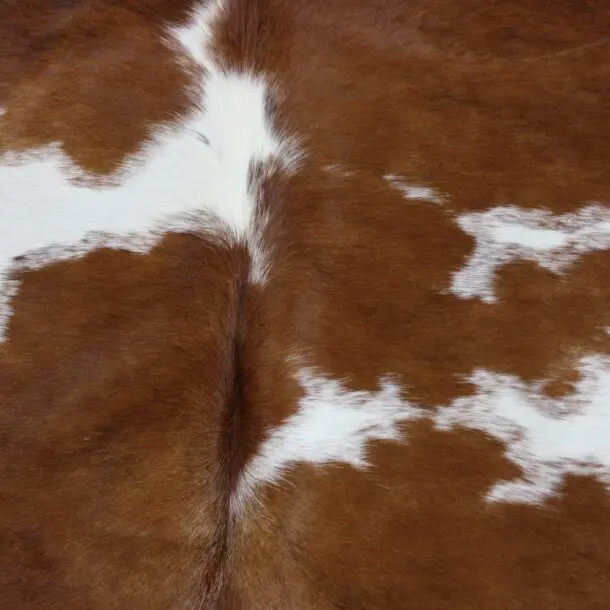 Cowhide Rug Brown and White C01004