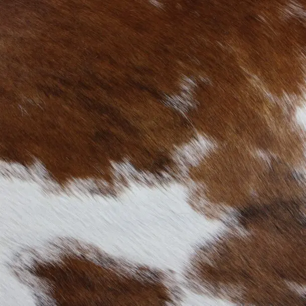 Cowhide Rug Brown and White C01004