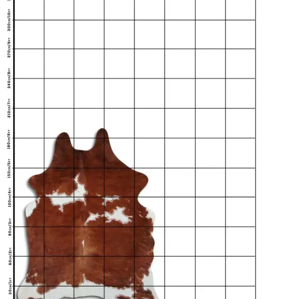 Cowhide Rug Brown and White C01004