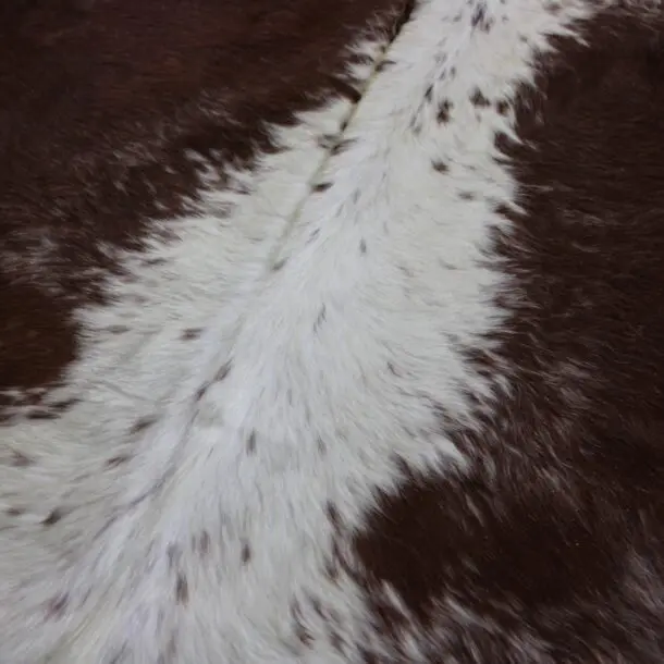 Cowhide Rug Speckled C01005