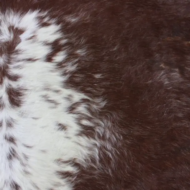 Cowhide Rug Speckled C01005