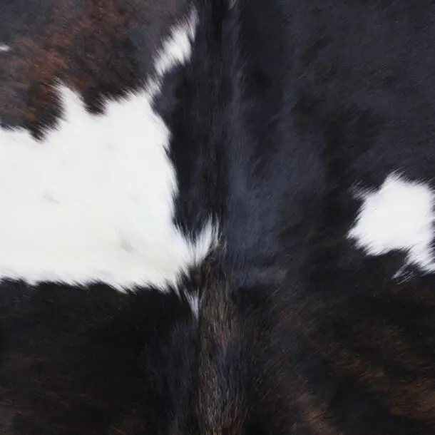 Cowhide Rug Exotic C01006